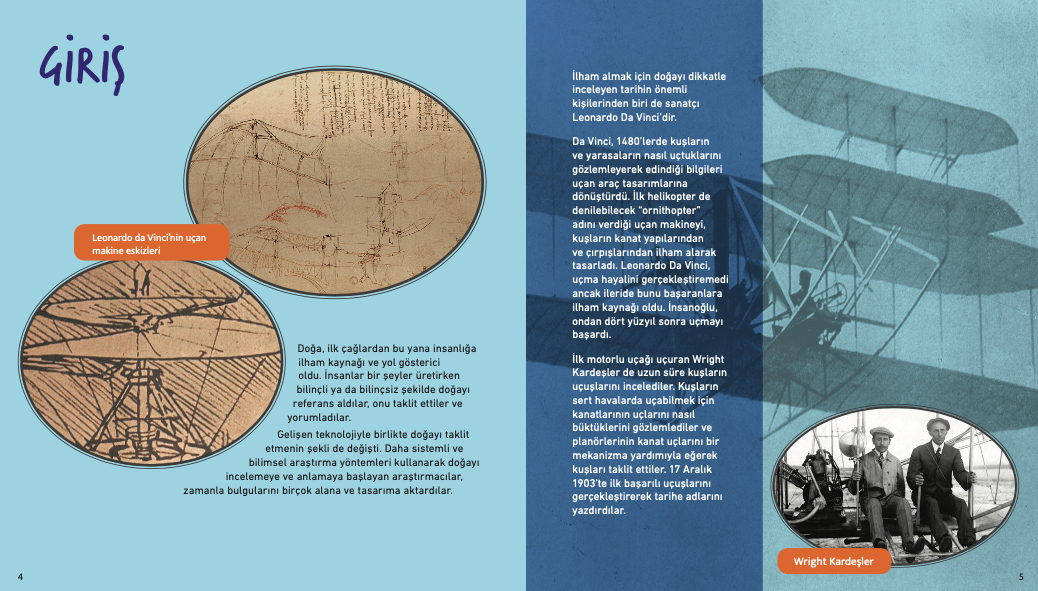 Tasarıma İlham Veren Doğa