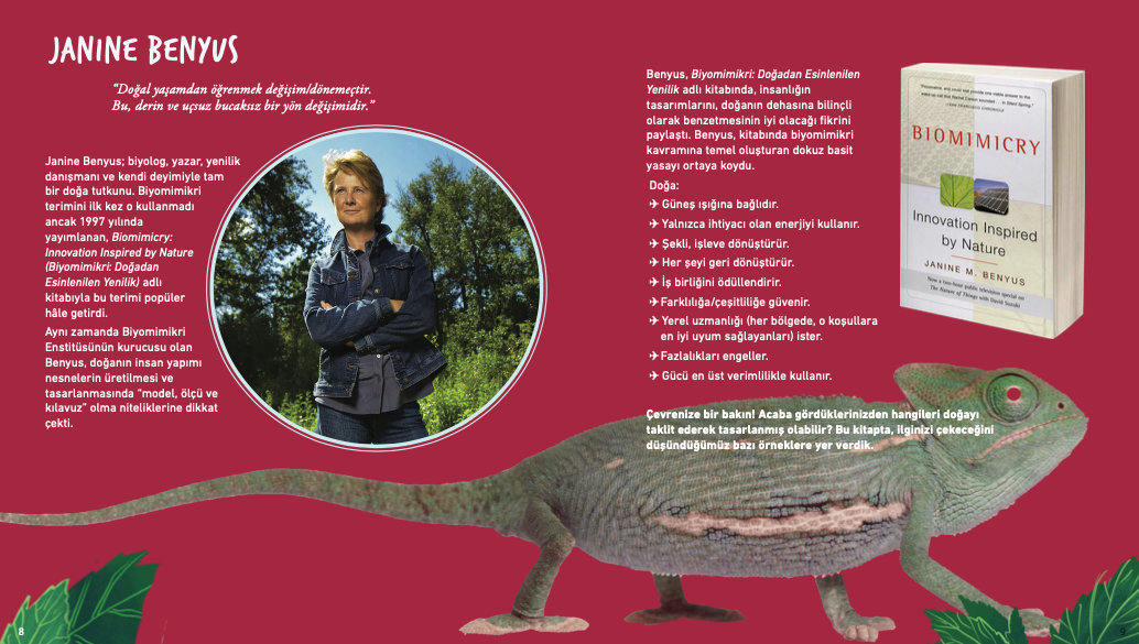 Tasarıma İlham Veren Doğa