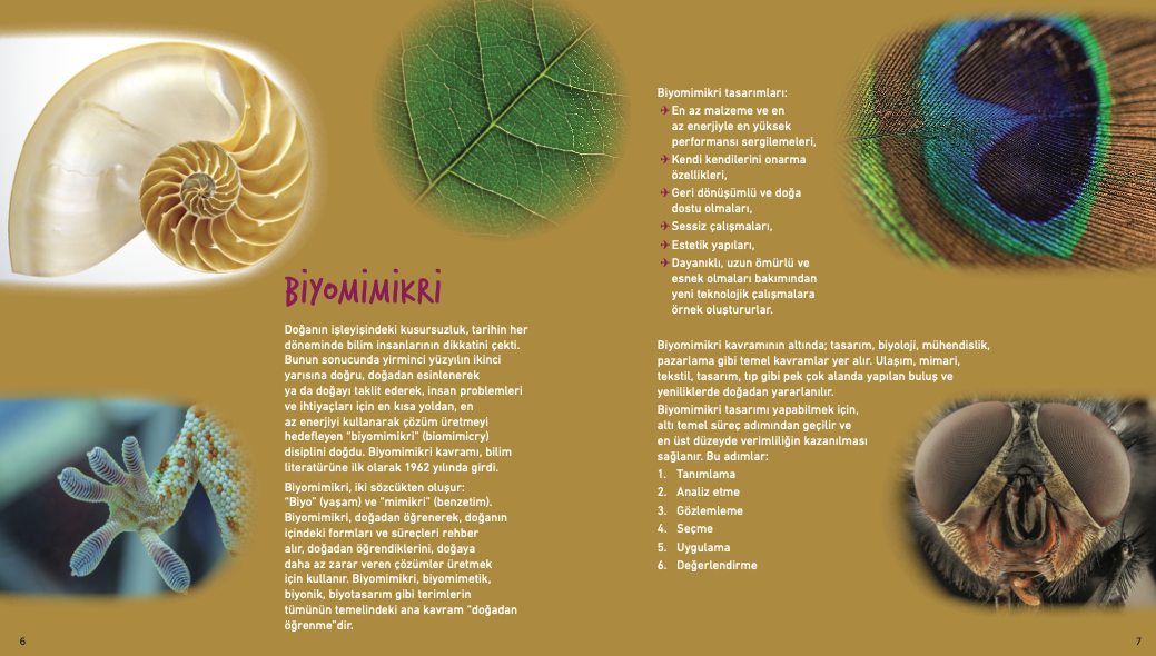 Tasarıma İlham Veren Doğa