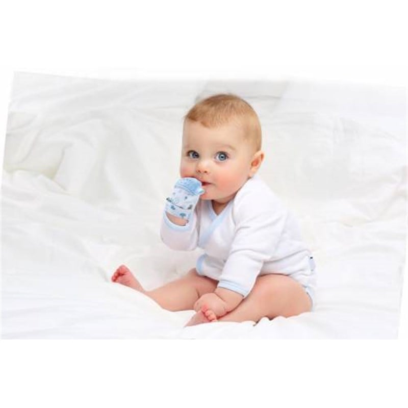 Babyjem Diş Kaşıyıcı Eldiven Kirpi Mavi