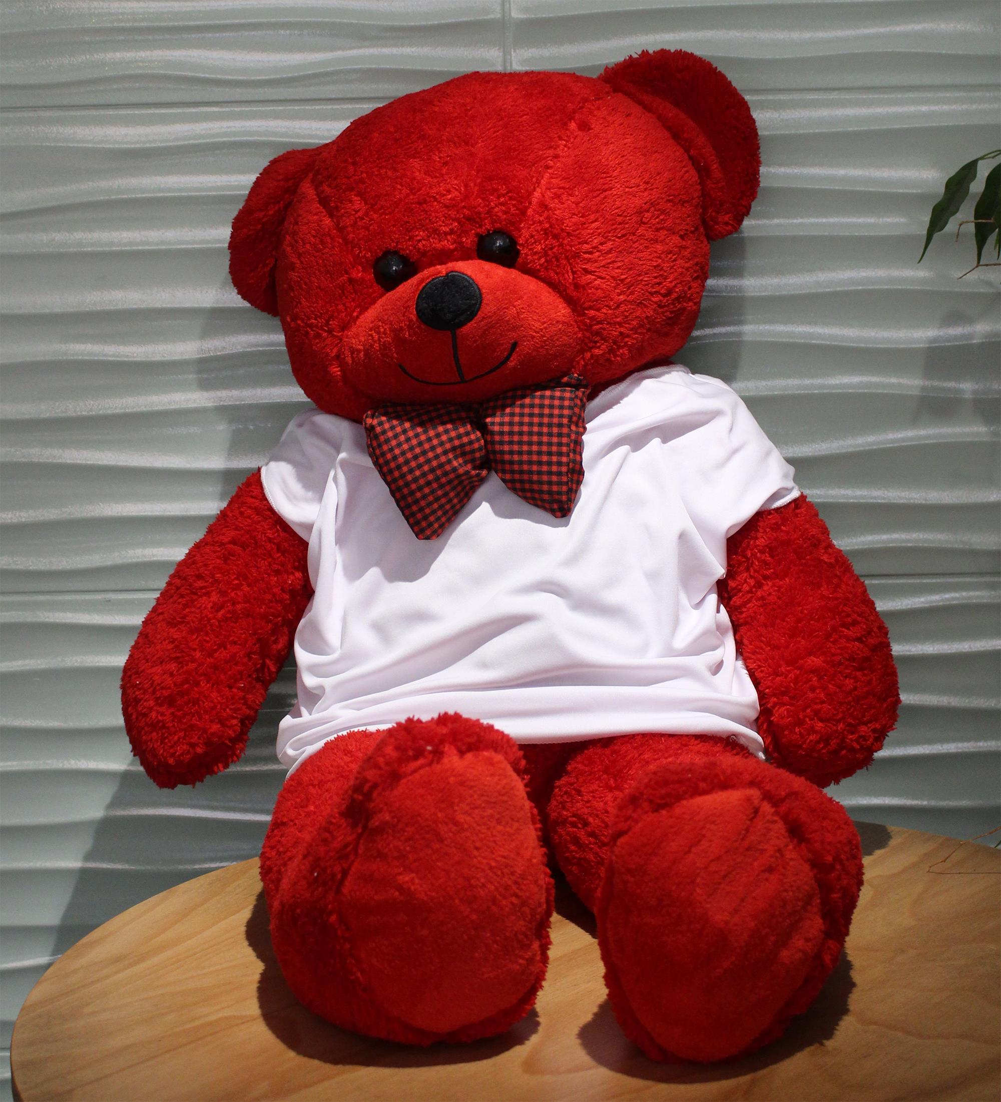 Kişiye Özel Fotoğraf ve Metin Baskılı Tişörtlü Kırmızı Renk 80cm Büyük Peluş Ayıcık