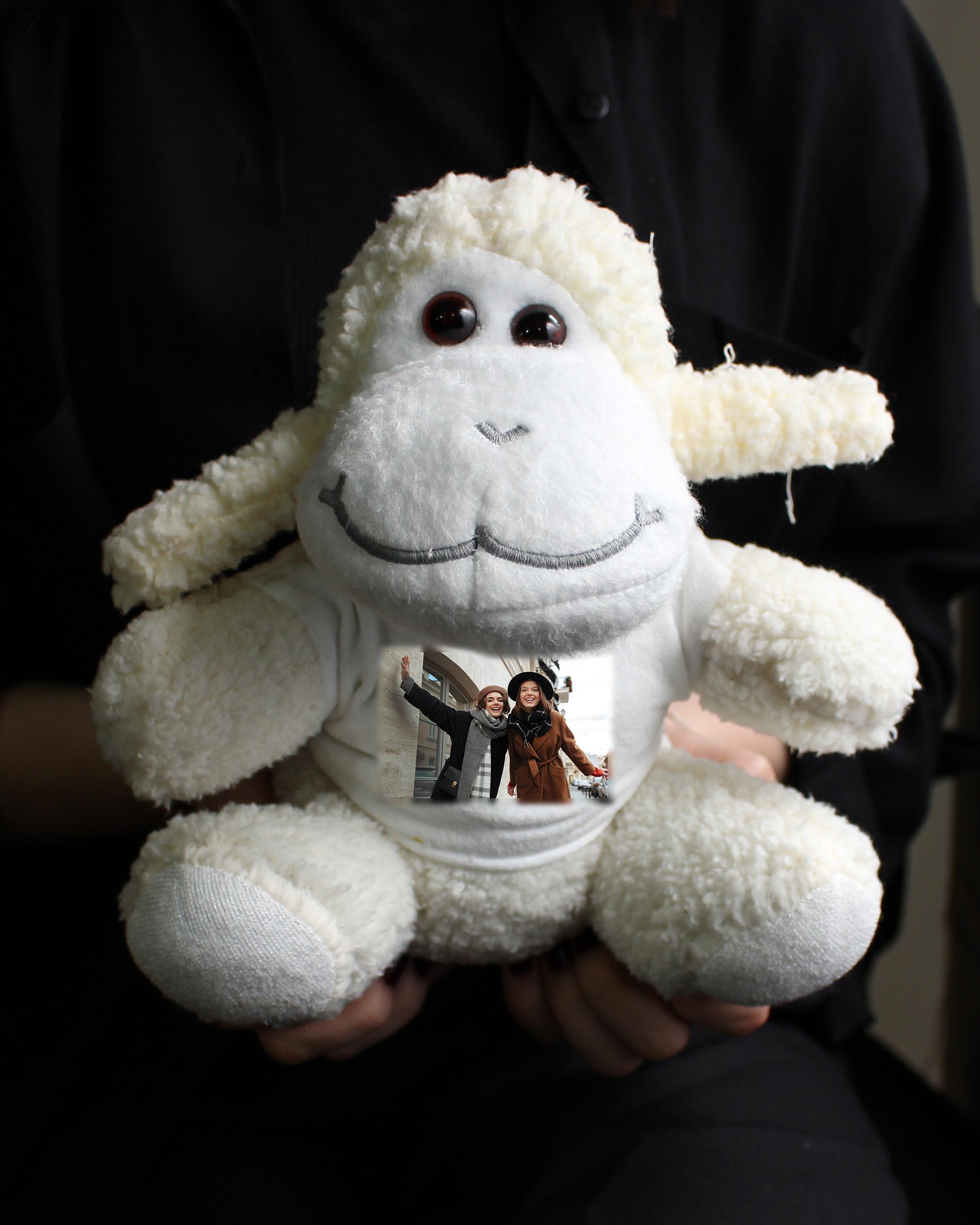 Kişiye Özel Fotoğraflı Tişörtlü Peluş Kuzu 22cm