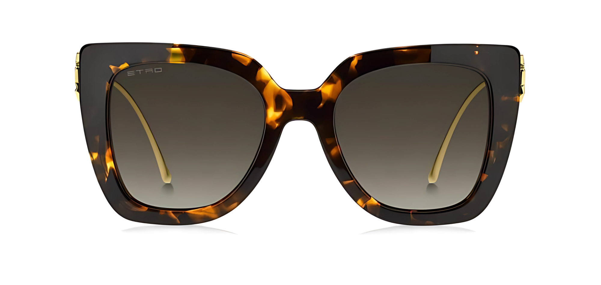 GÜNEŞ GÖZLÜĞÜ ETRO 0040/S 20731108653HA