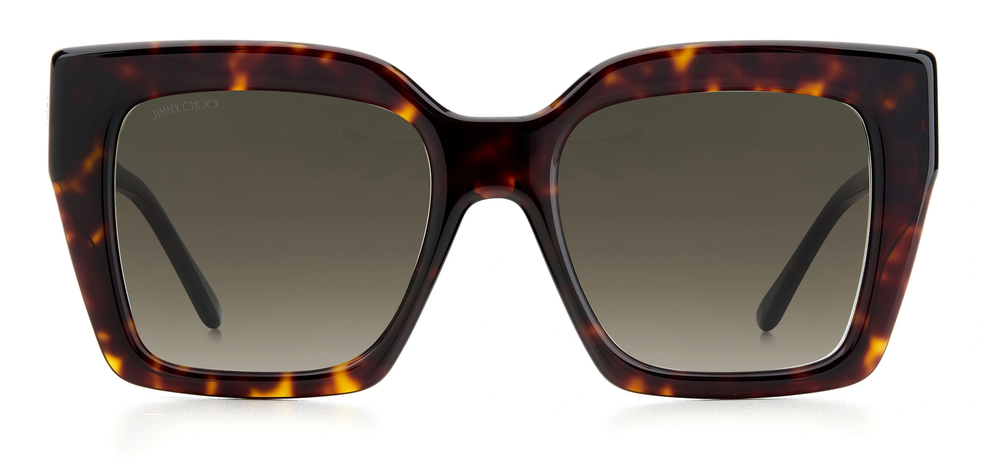 JİMMYCHOO ELENI G S_20423208653HA_Elegance