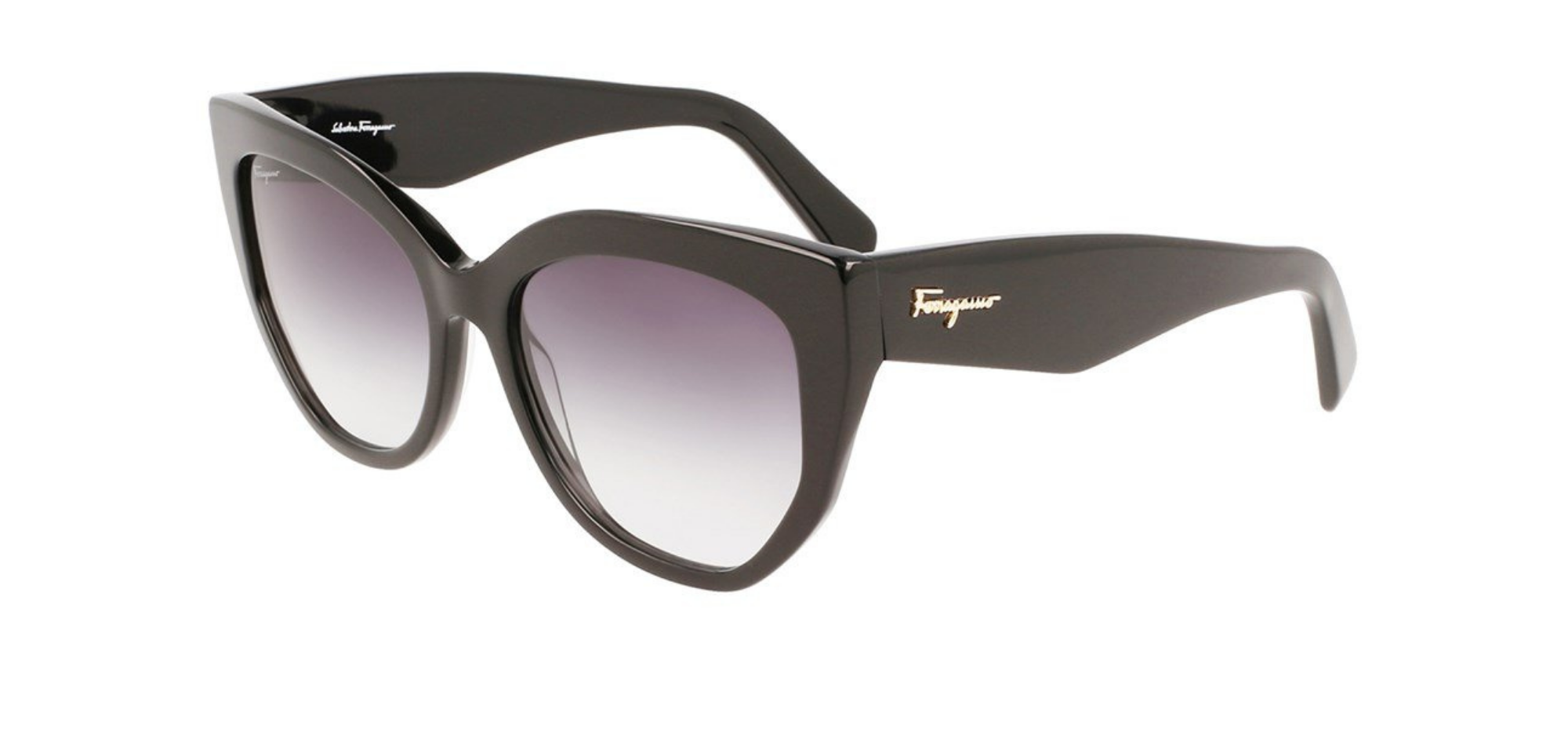 Salvatore Ferragamo-SF1061S-001-Elegance