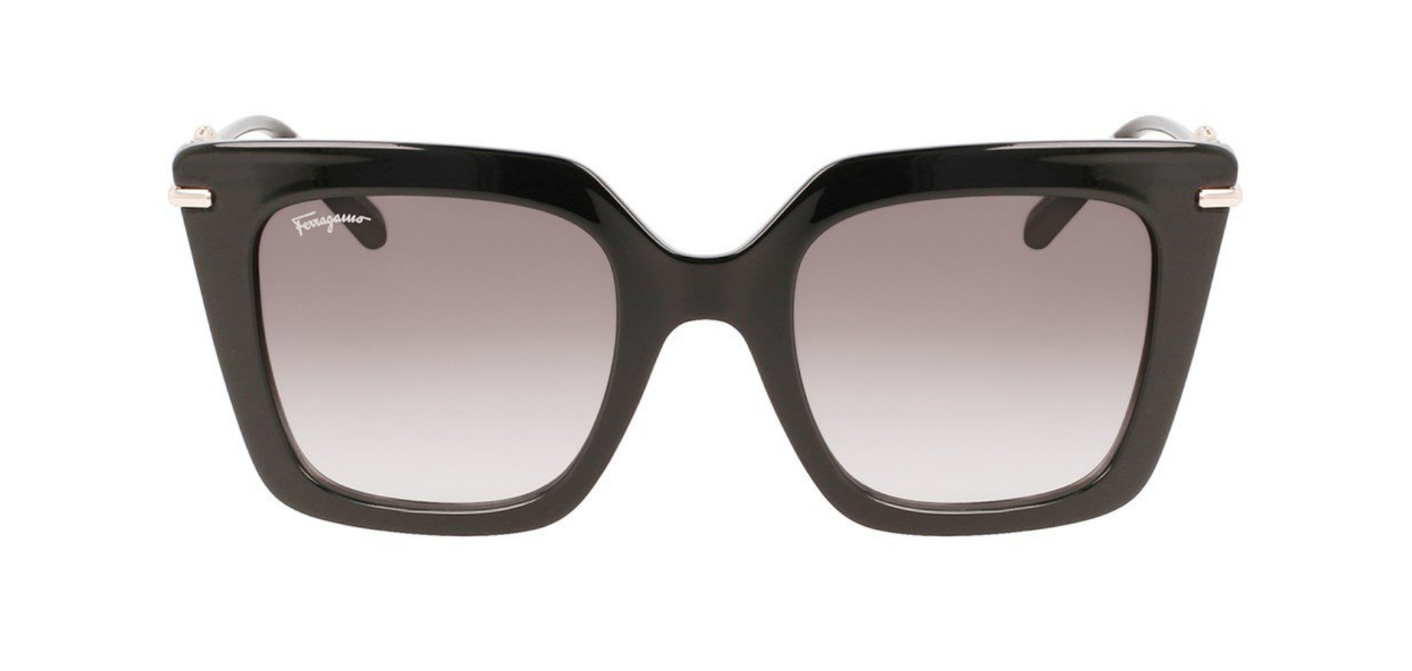 Salvatore Ferragamo-SF1041S-001-Elegance