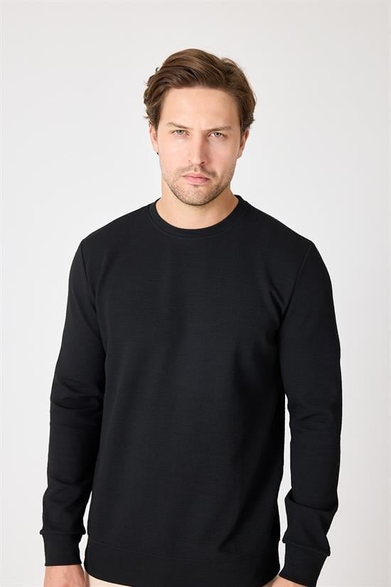Bisiklet Yaka Regular Fit Sweatshirt