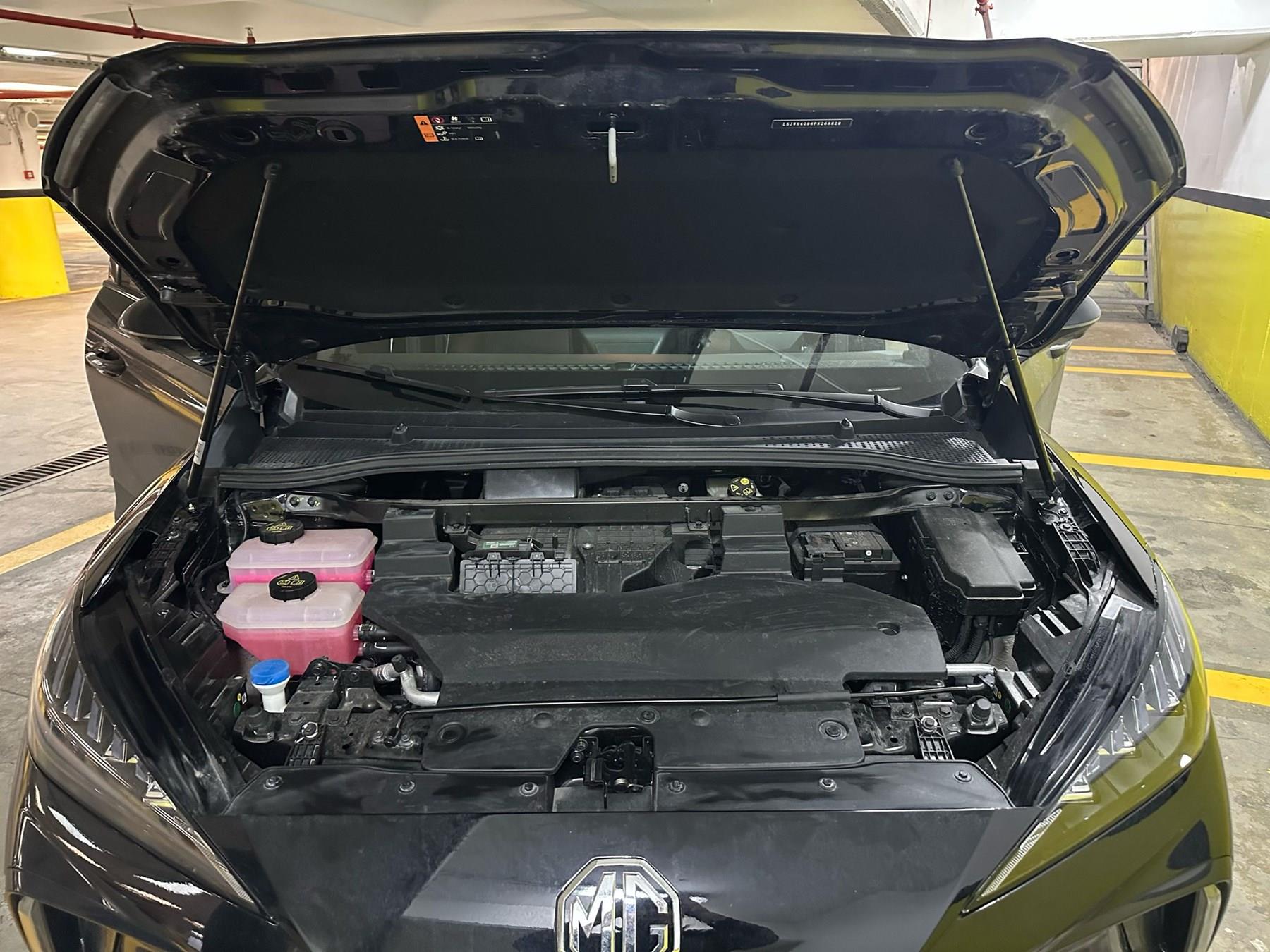 MG4 2022-2025 KAPUT Amortisörü KİTİ- SET