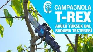 CAMPAGNOLA T-Rex Akülü Yüksek Dal Budama Testeresi Teleskopik