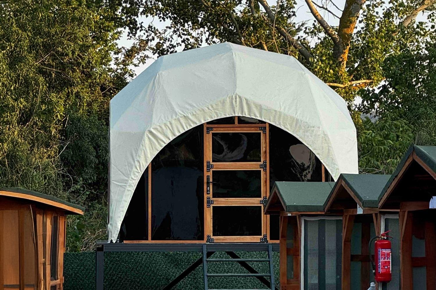 N-Quadro Dome