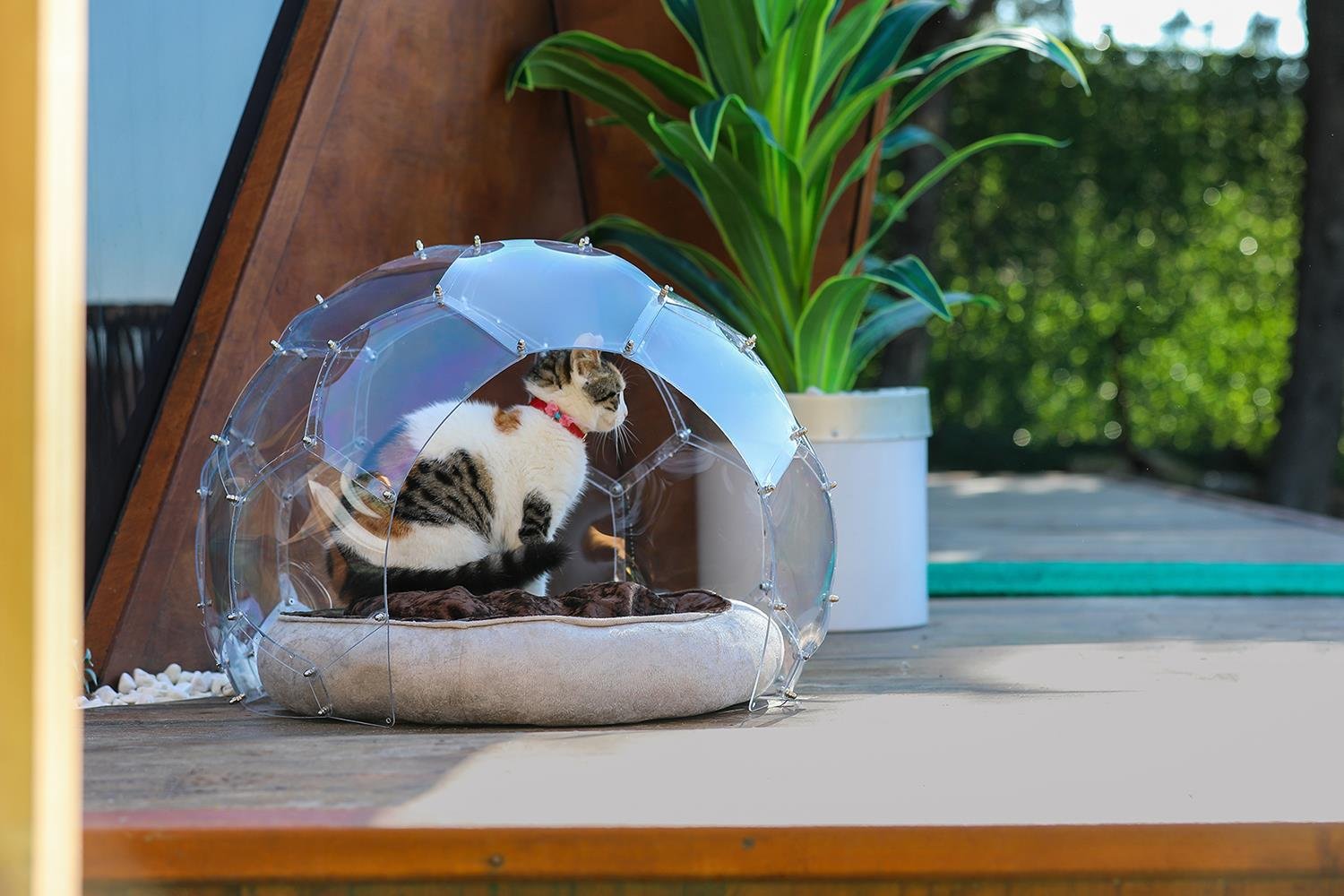 NivaPet Kedi Evi