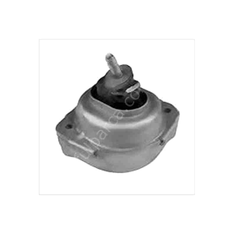 bmw-motor-takozu-e83-x3-2.5i-3-9-d846.png
