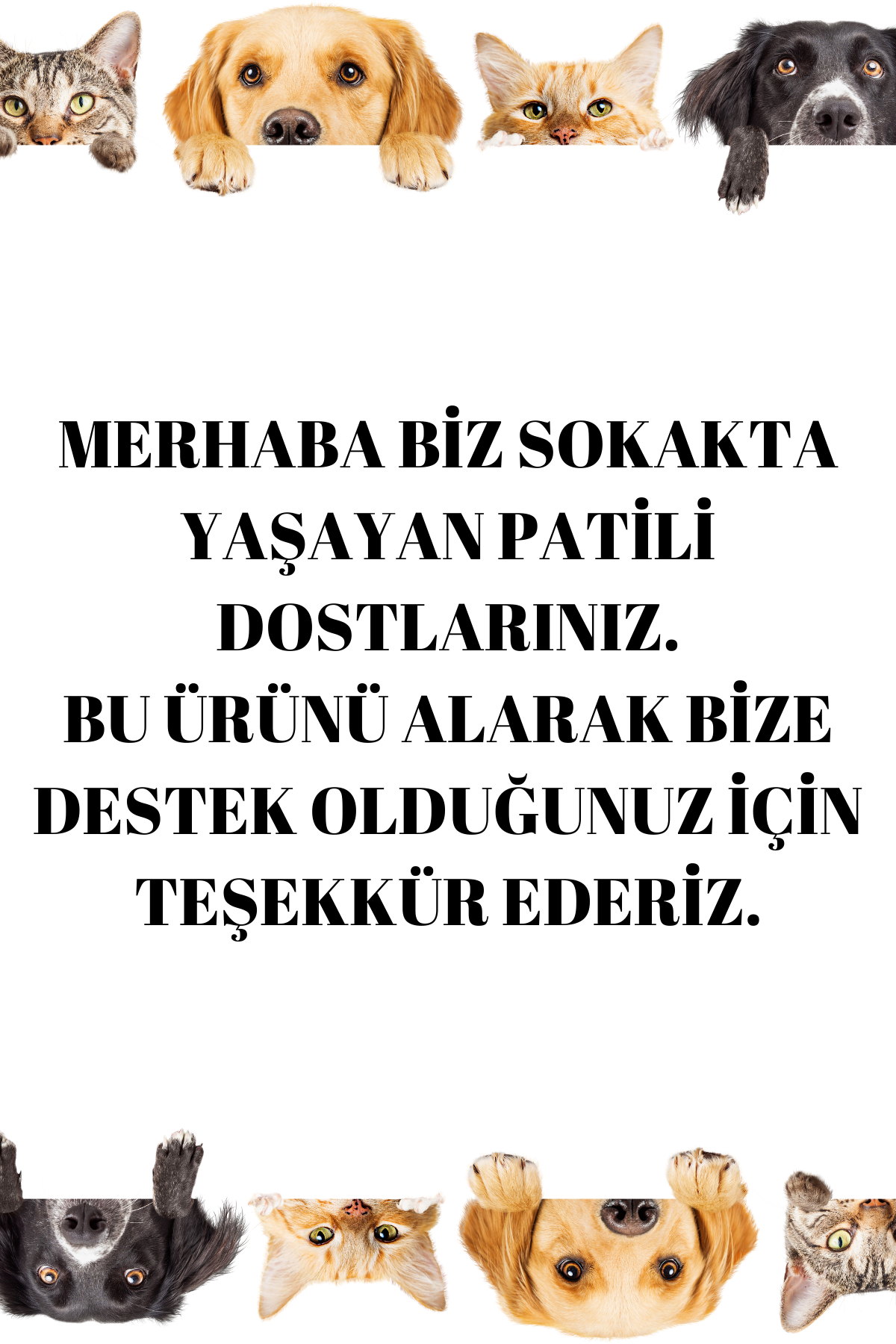 Ev Yapımı Katkısız %100 Doğal Fermantasyon Alıç Sirkesi, Hawthorn Vinegar 500 Ml.