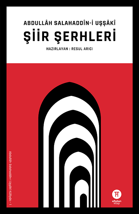 ŞİİR ŞERHLERİ