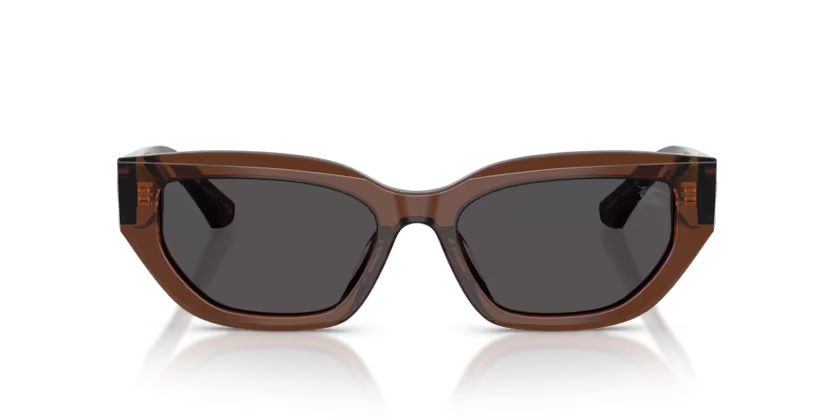 BURBERRY 0BE4463D 411687 54-18