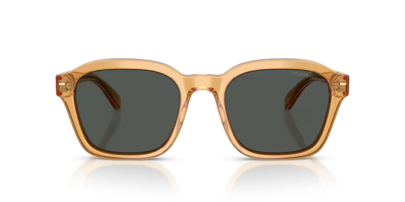 EMPORIO ARMANI 0EA4245U 624687 54-21