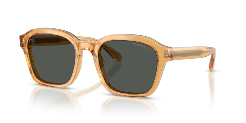 EMPORIO ARMANI 0EA4245U 624687 54-21