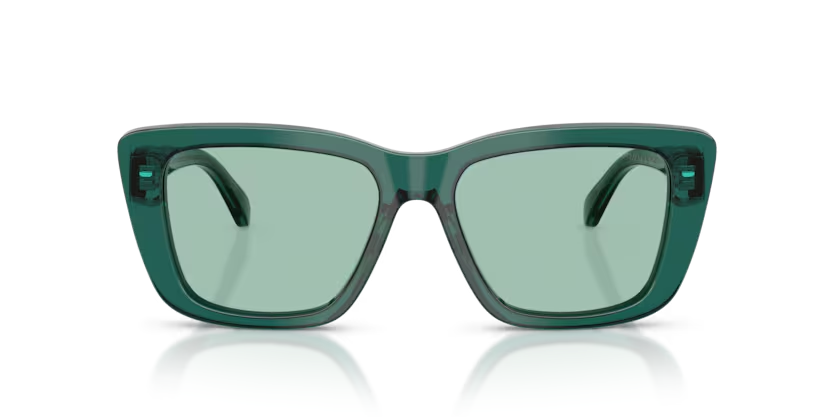 EMPORIO ARMANI 0EA4246U 6252/2 54-17