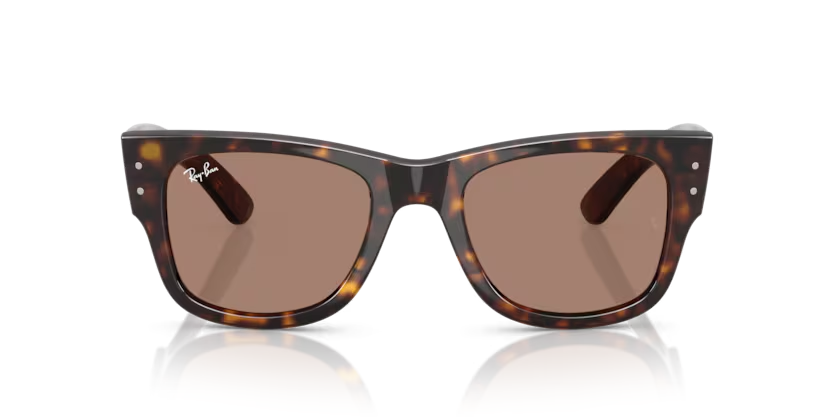 RAY-BAN 0RB0840S 902/1A 51