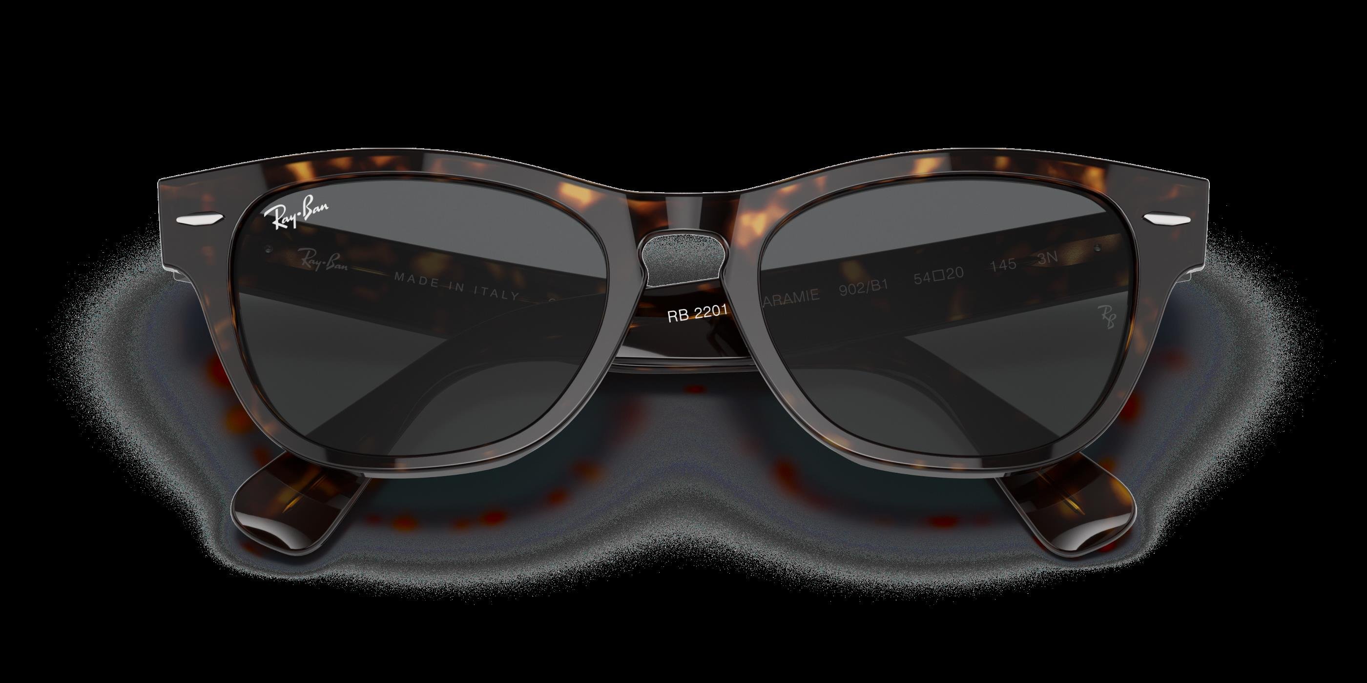 RAY-BAN 0RB2201 902B1 54-20