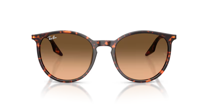 RAY-BAN 0RB2204 14293B 51