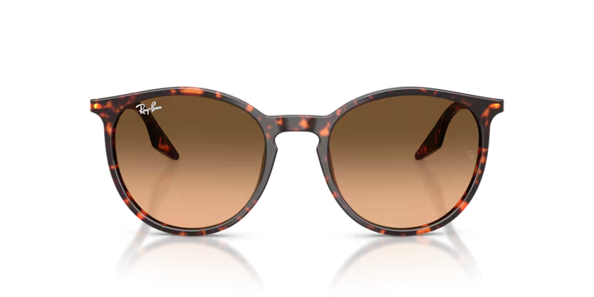 RAY-BAN 0RB2204 14293B 54