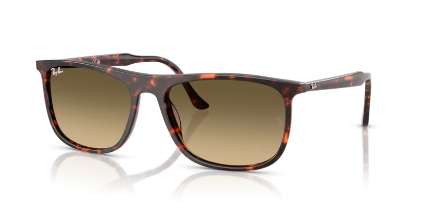 RAY-BAN 0RB2216 14290A 58