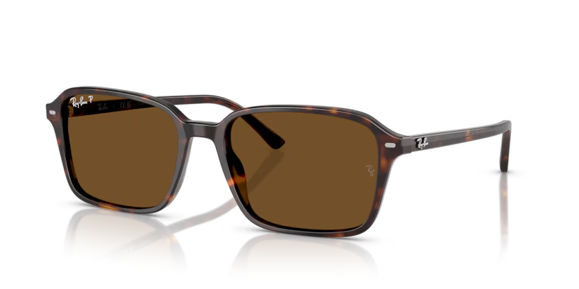 RAY-BAN 0RB2231 902/57 56