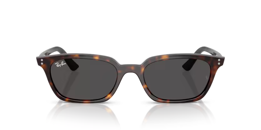 RAY-BAN 0RB4456 135987 50