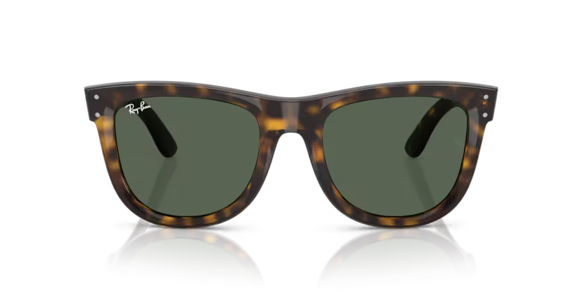 RAY-BAN 0RBR0502S 6790VR 50