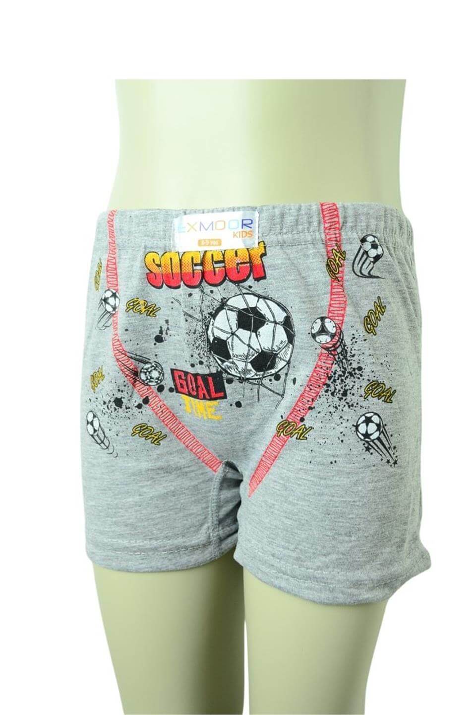 6 Adet Erkek Çocuk Penye Boxer