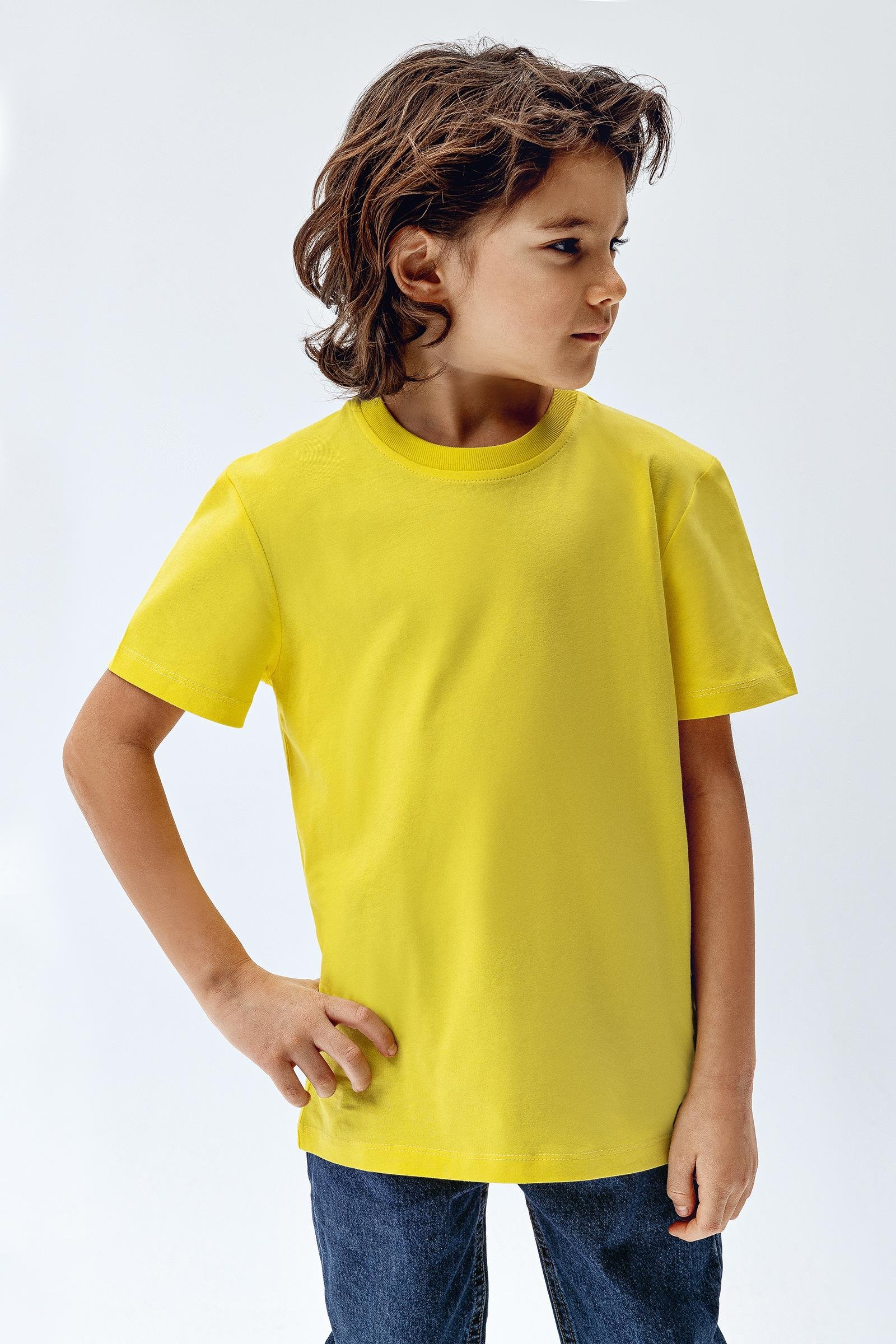 Brix Sarı Renk Erkek Çocuk T-Shirt