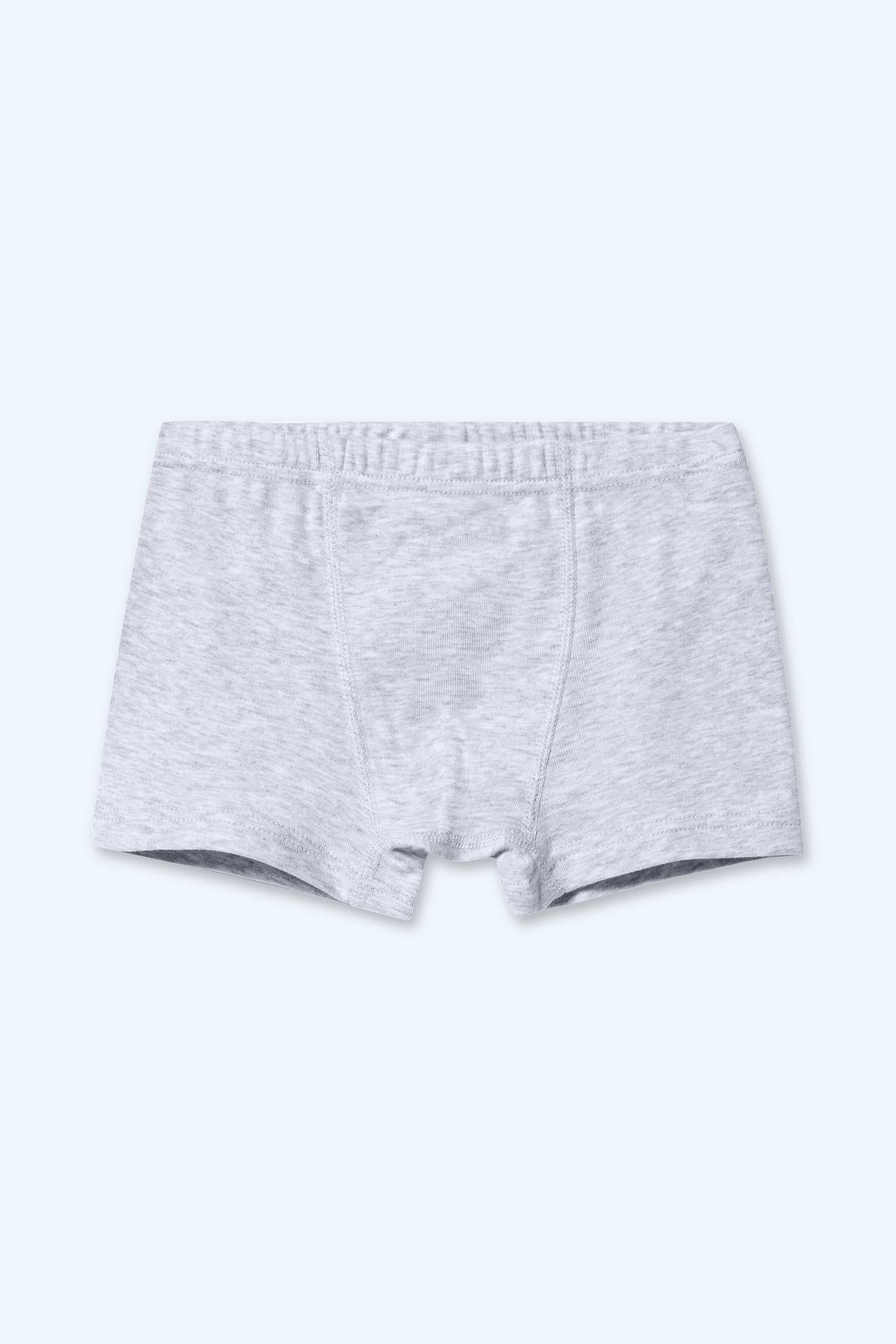 Erkek Çocuk 2'li Boxer