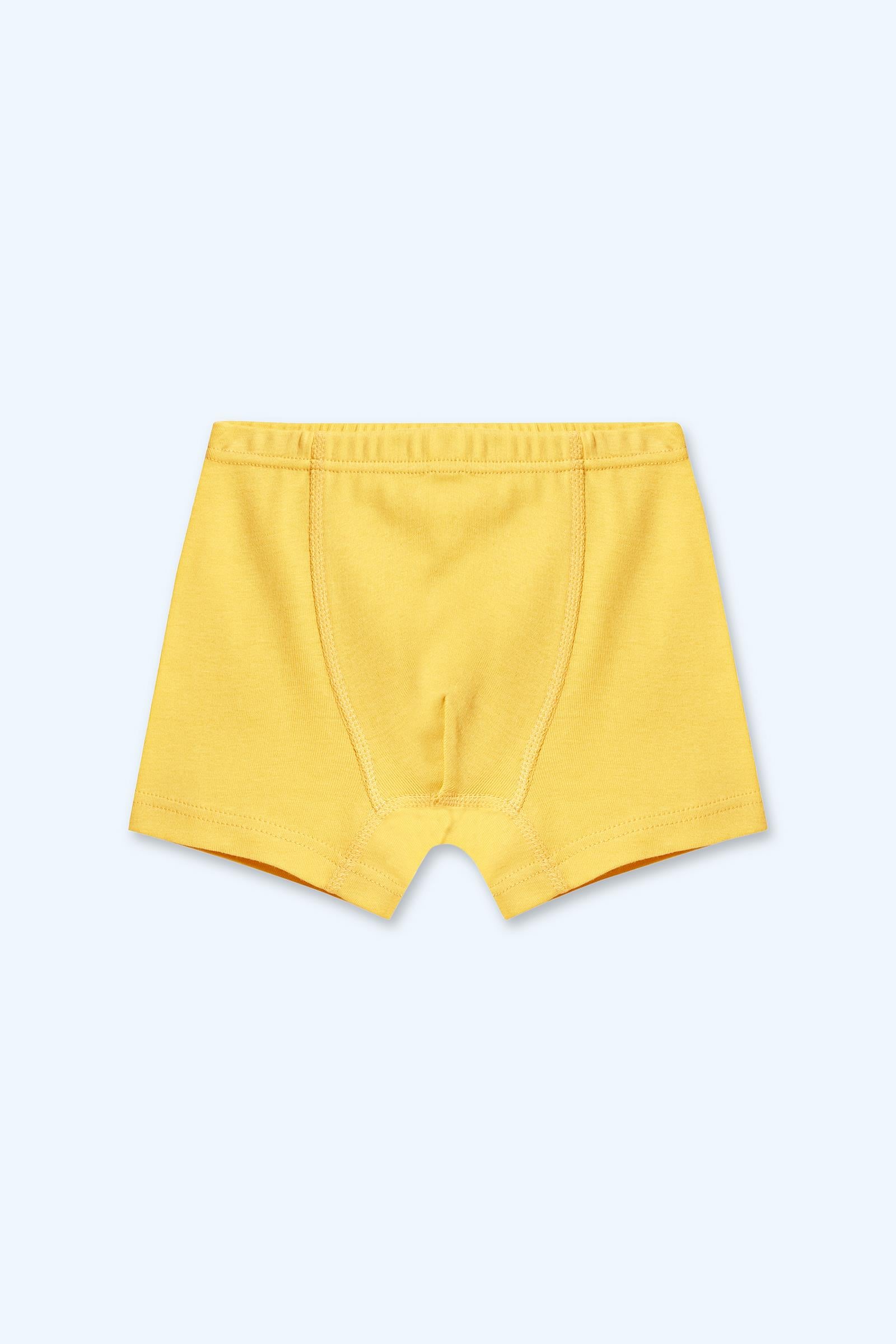 Erkek Çocuk 2'li Boxer