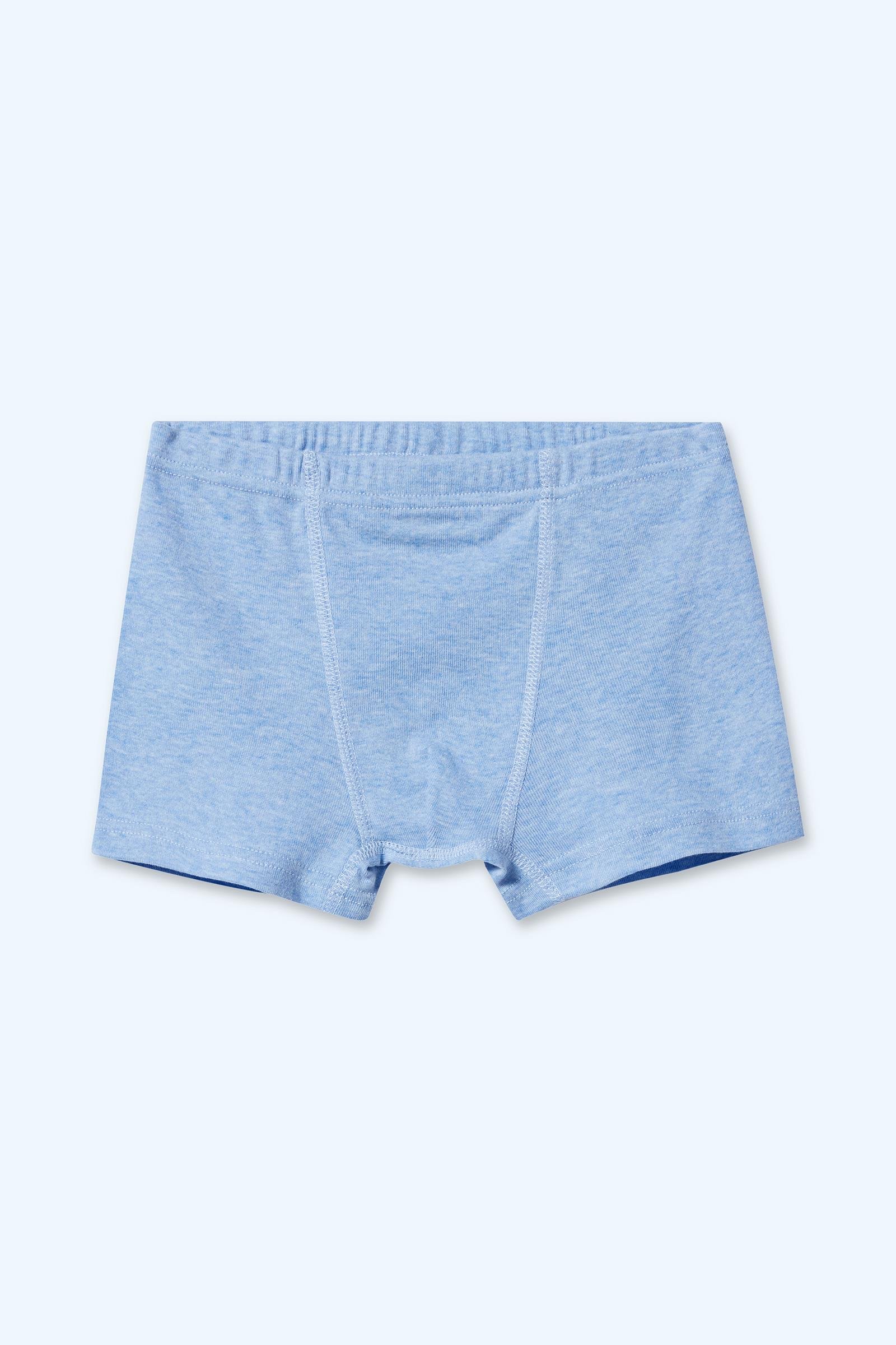 Erkek Çocuk 2'li Boxer