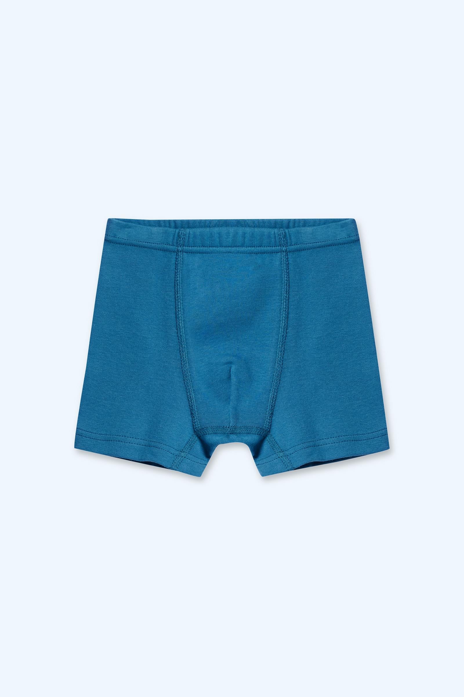 Erkek Çocuk 2'li Boxer