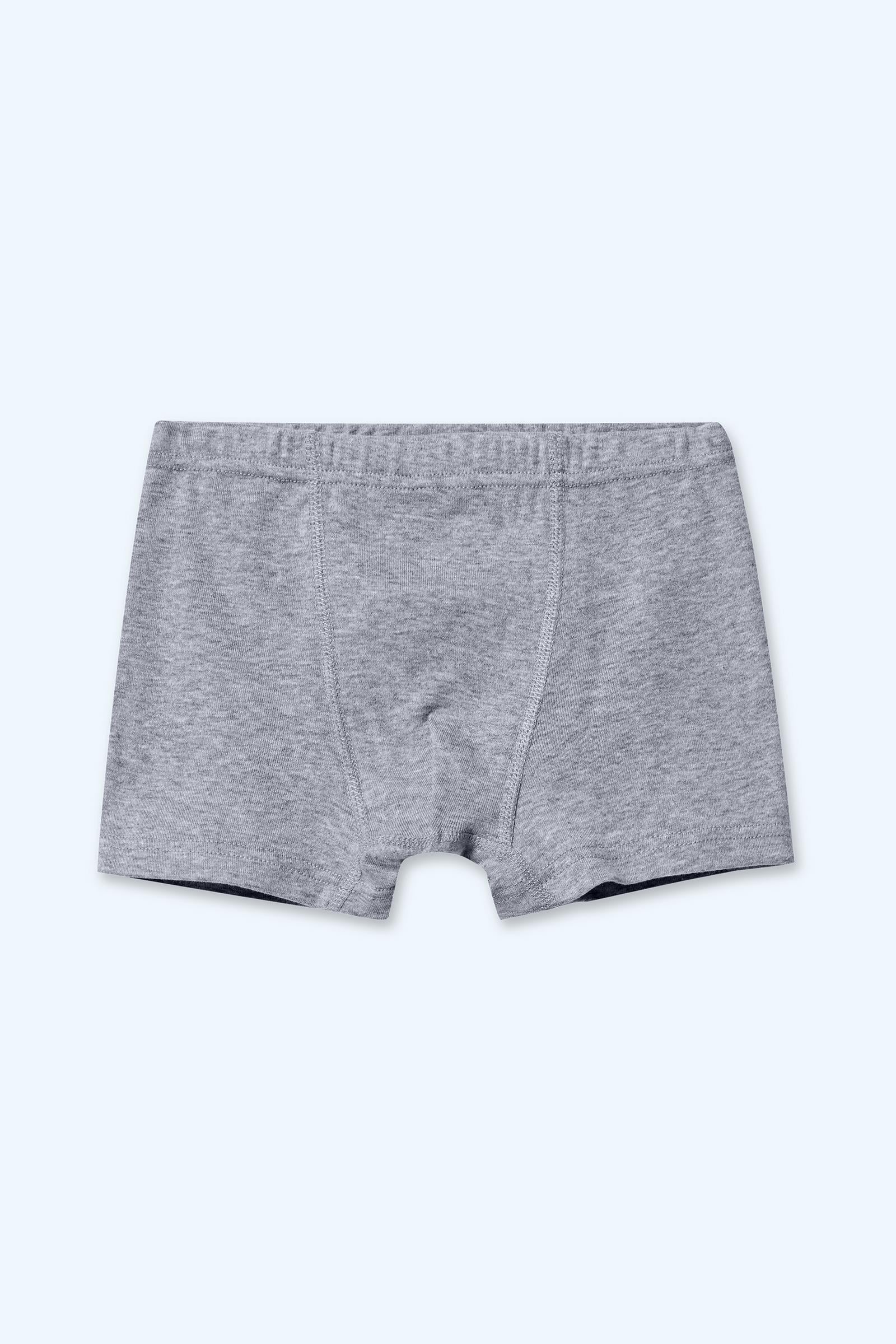 Erkek Çocuk 2'li Boxer
