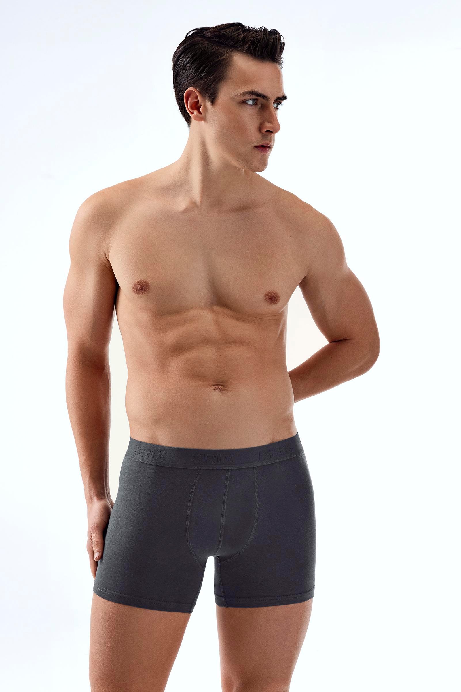 Modal Erkek 2'li Boxer