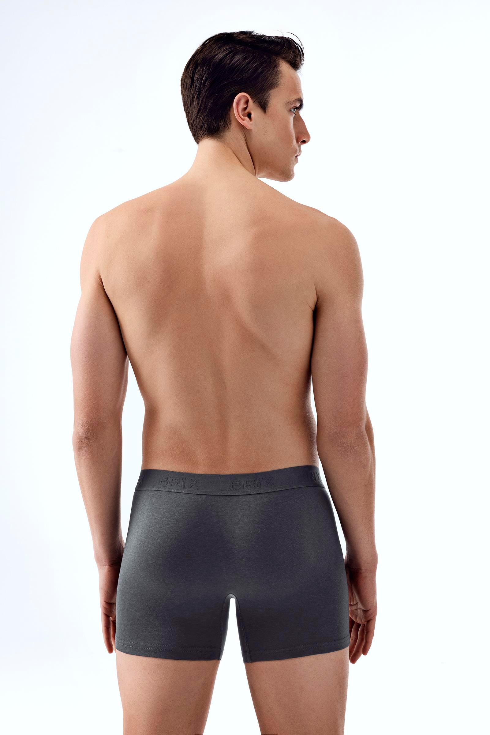 Modal Erkek 2'li Boxer