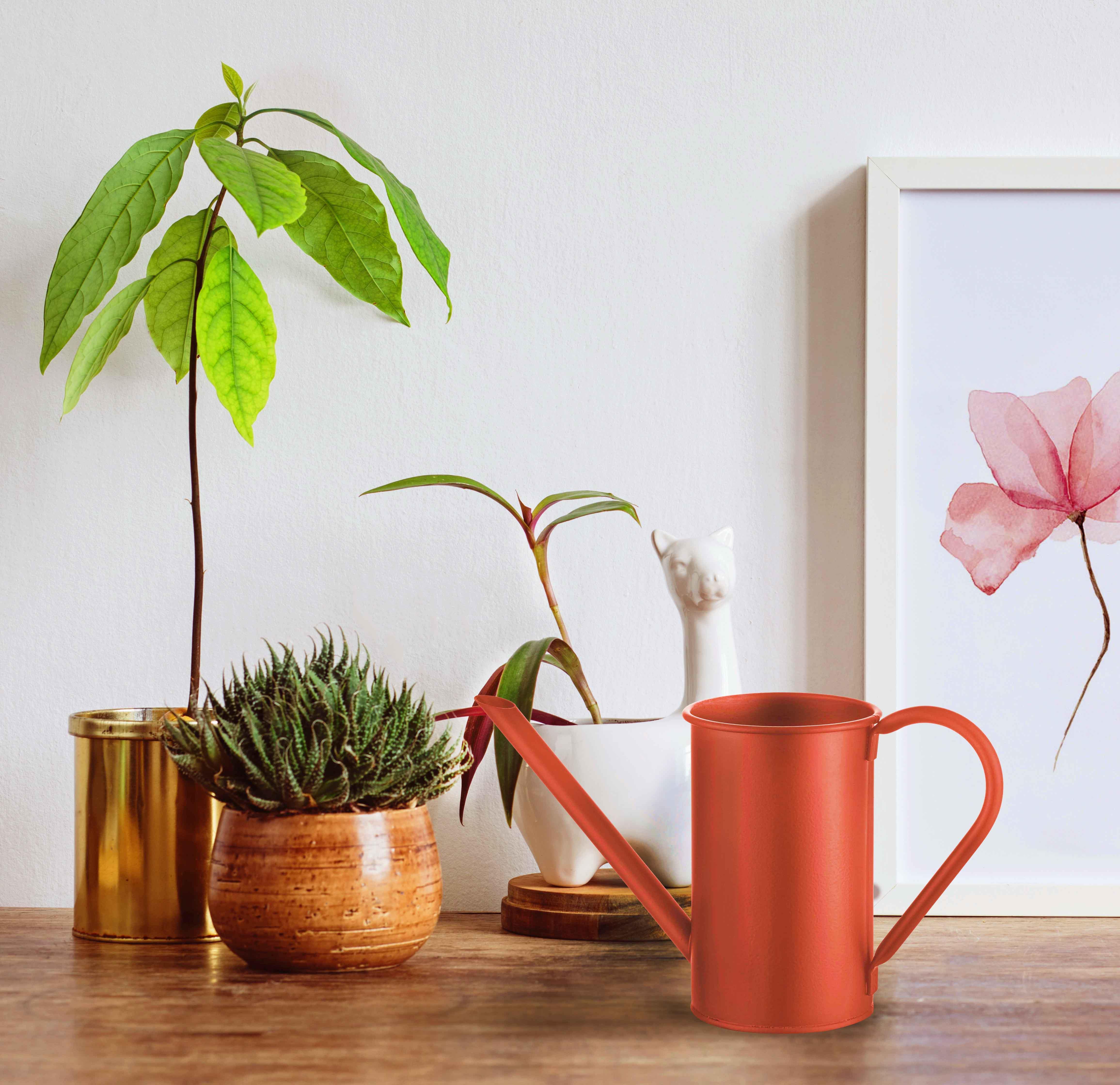 Sulak The Mia Sulak 1,5 Lt Kırmızı SLK0007