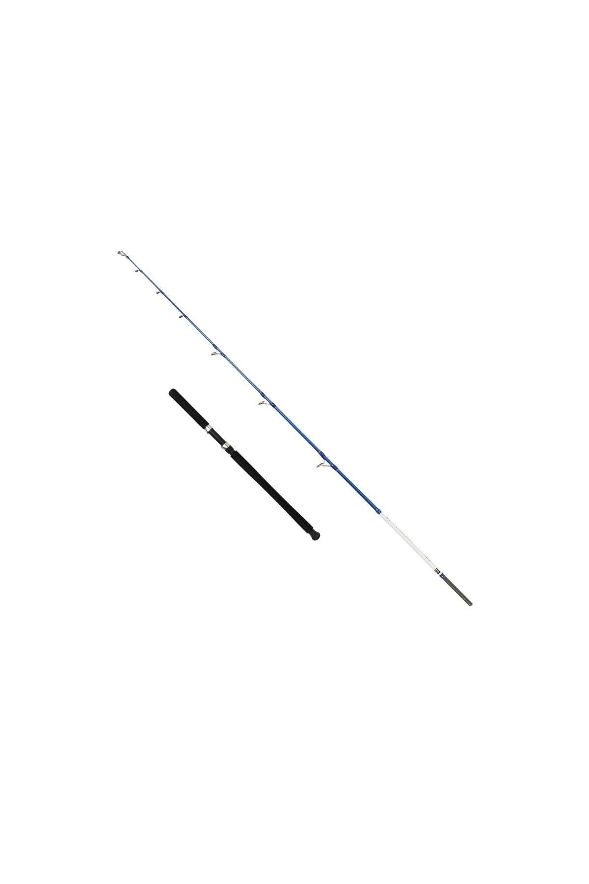 Captain 1411 Victor Boat 2 Parça Tekne Kamışı 30-160gr Atar