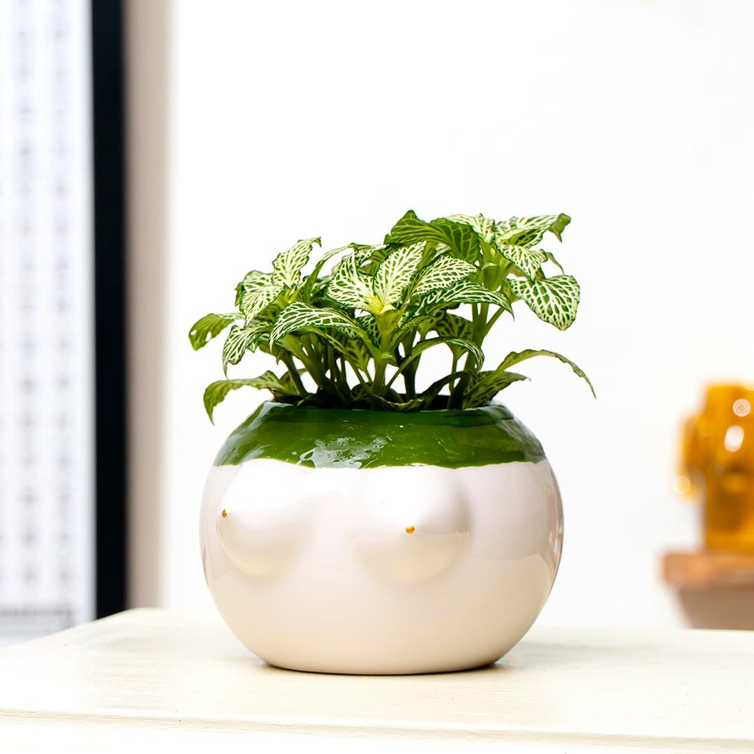 Serenity Brown Belted El Yapımı Seramik Vazo