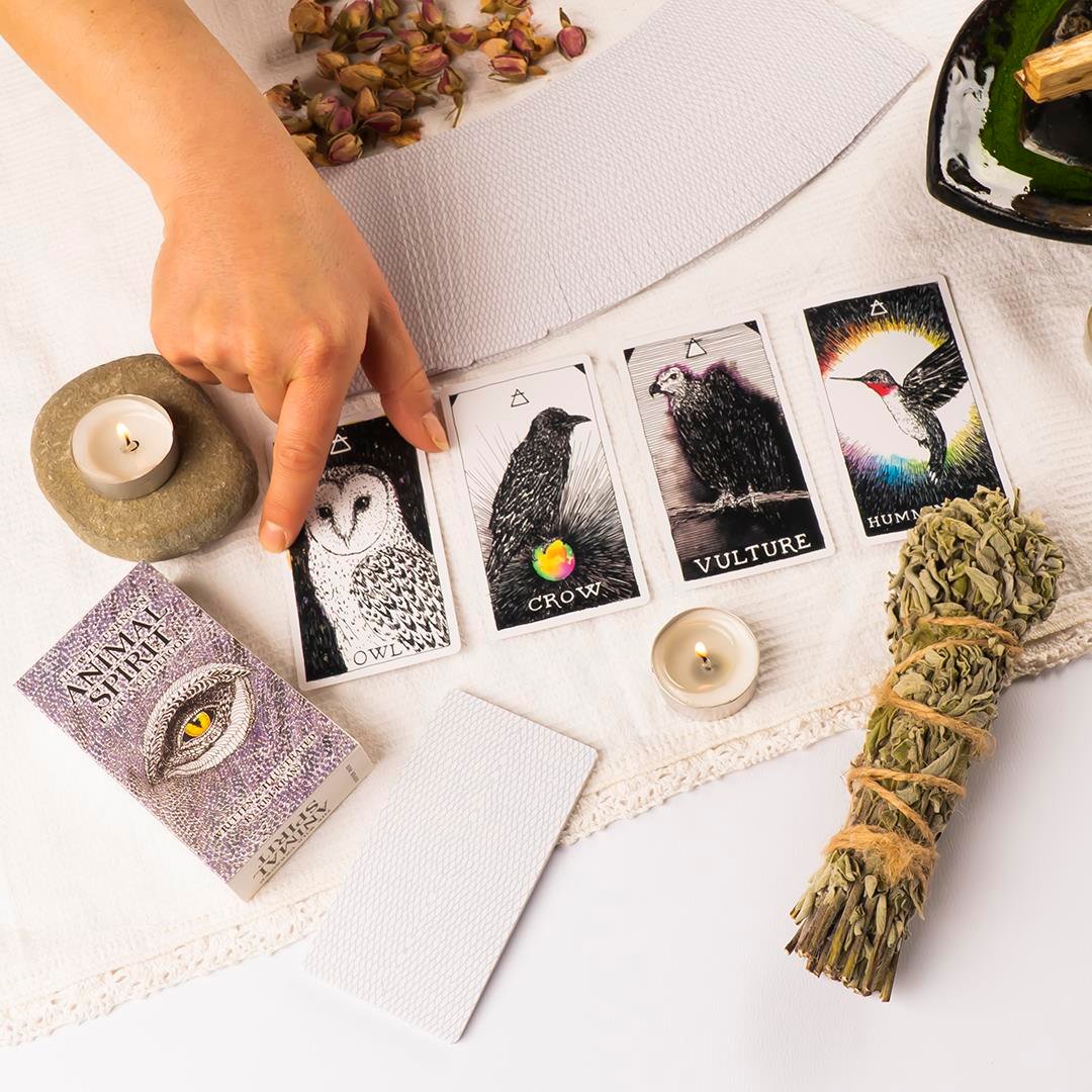 Wild The Unknown Animal Spirit Deck Tarot Kartı