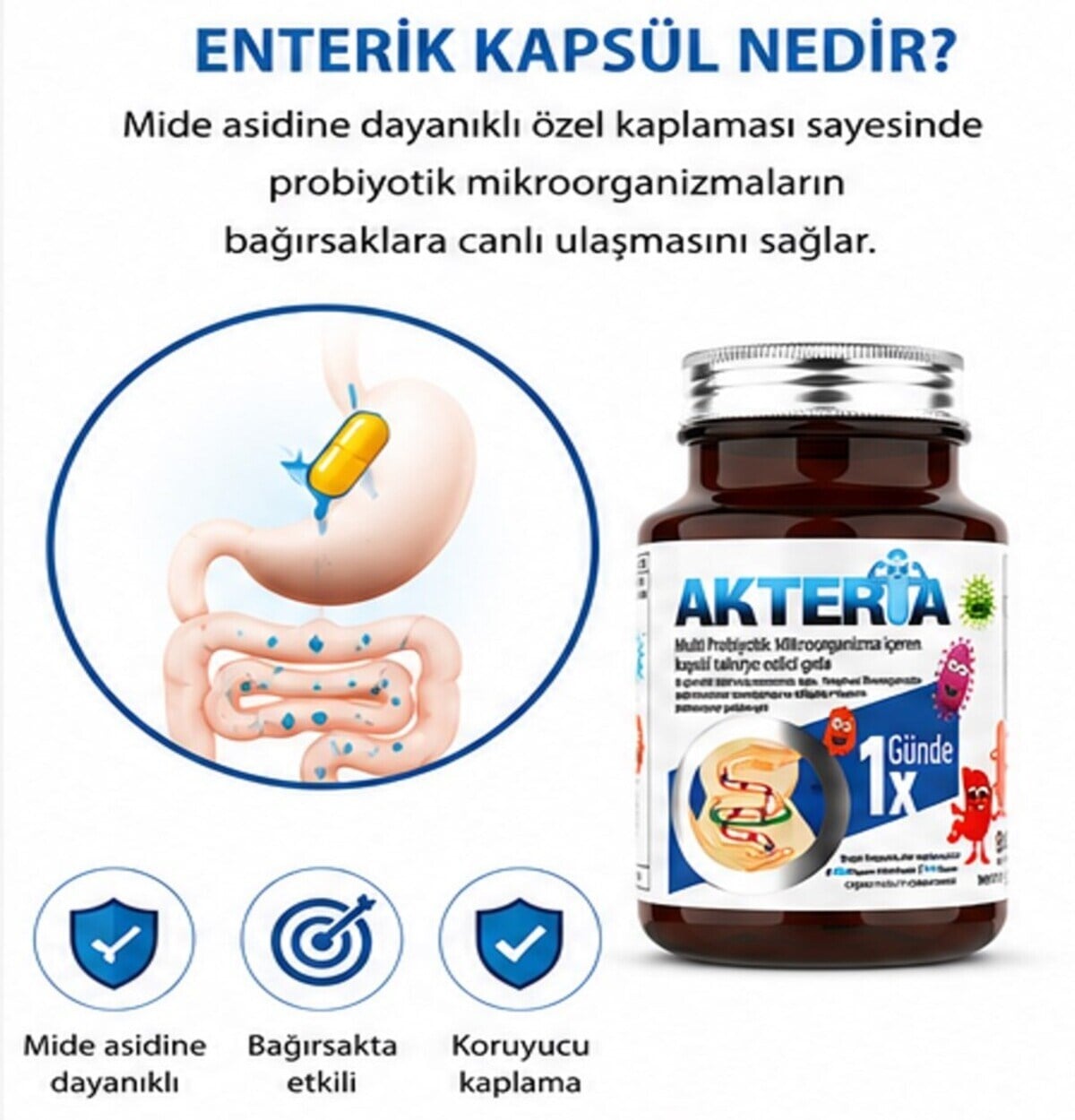 Akteria 23 farklı Probiyotik Mikroorganizma içeren 30 Enterik Kapsül
