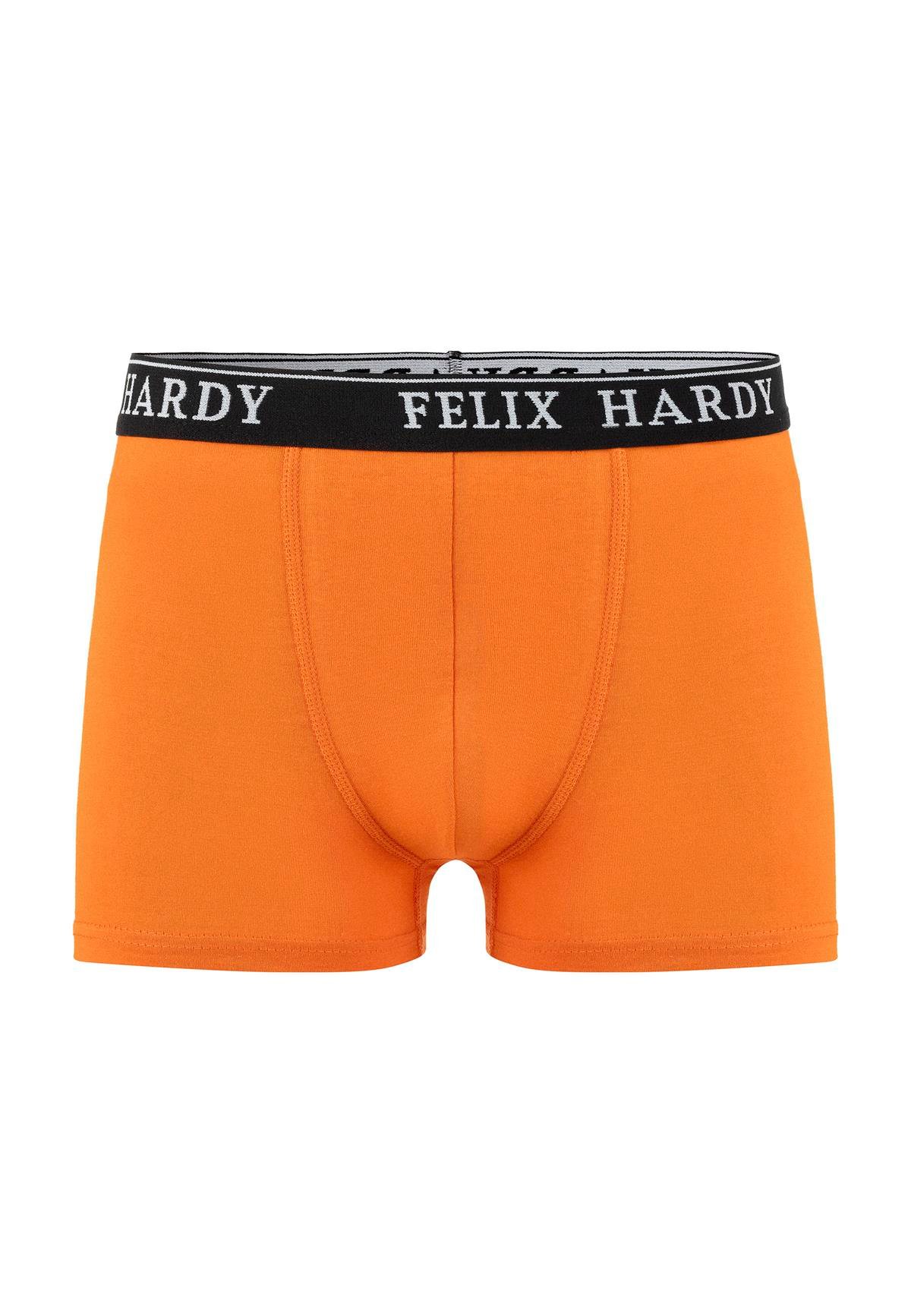 4'lü BoxerFelix HardyFHMBXR867-4