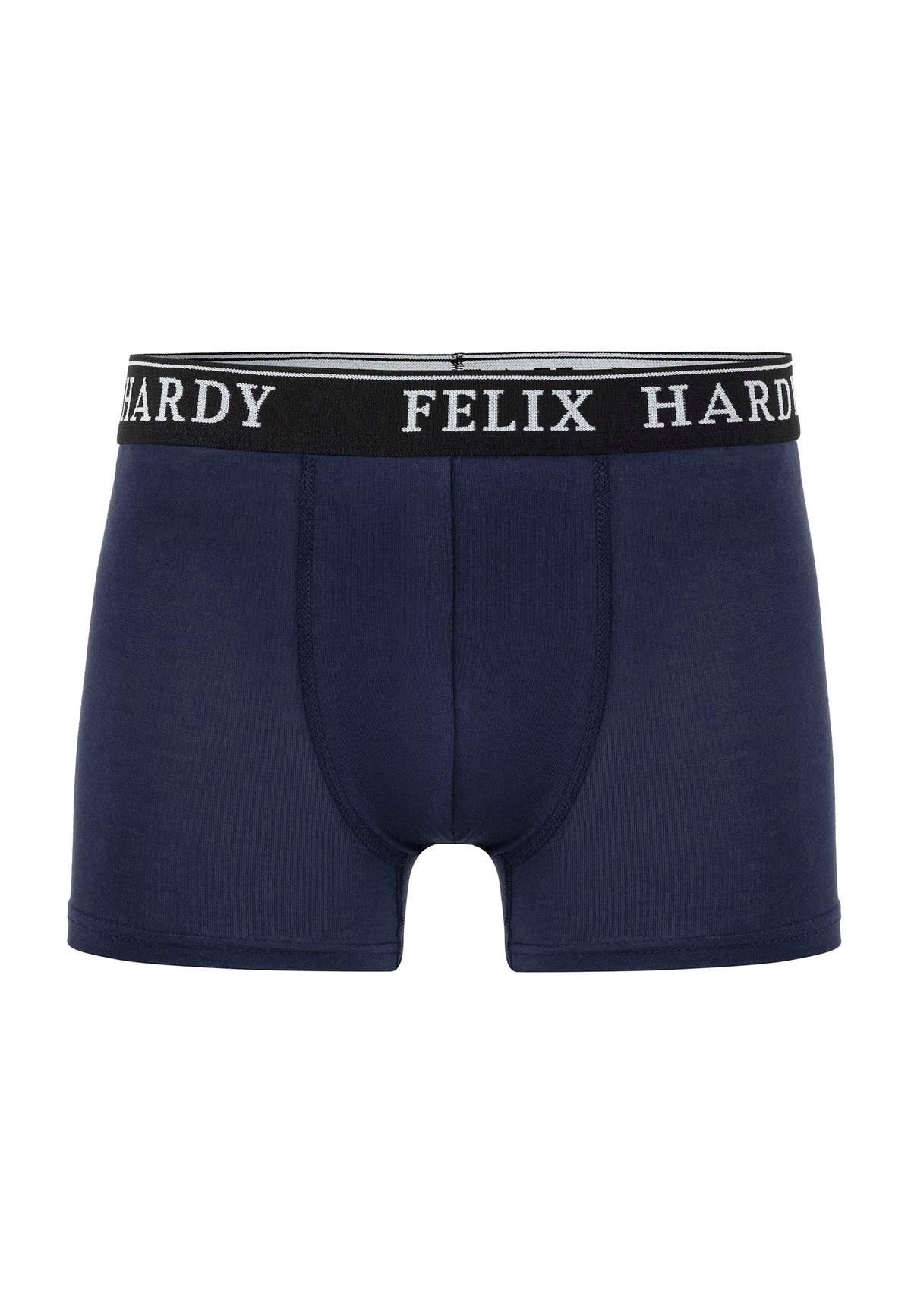 4'lü BoxerFelix HardyFHMBXR867-2