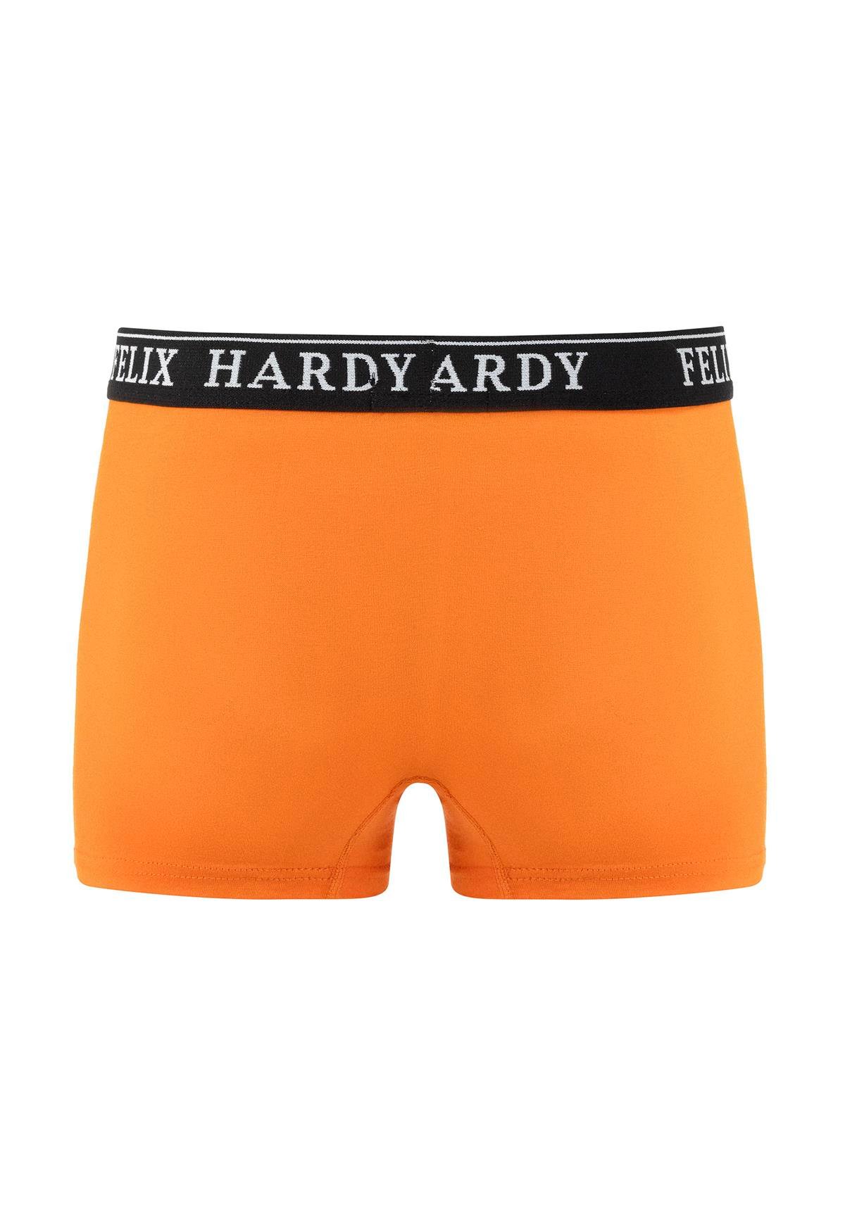 4'lü BoxerFelix HardyFHMBXR867-6