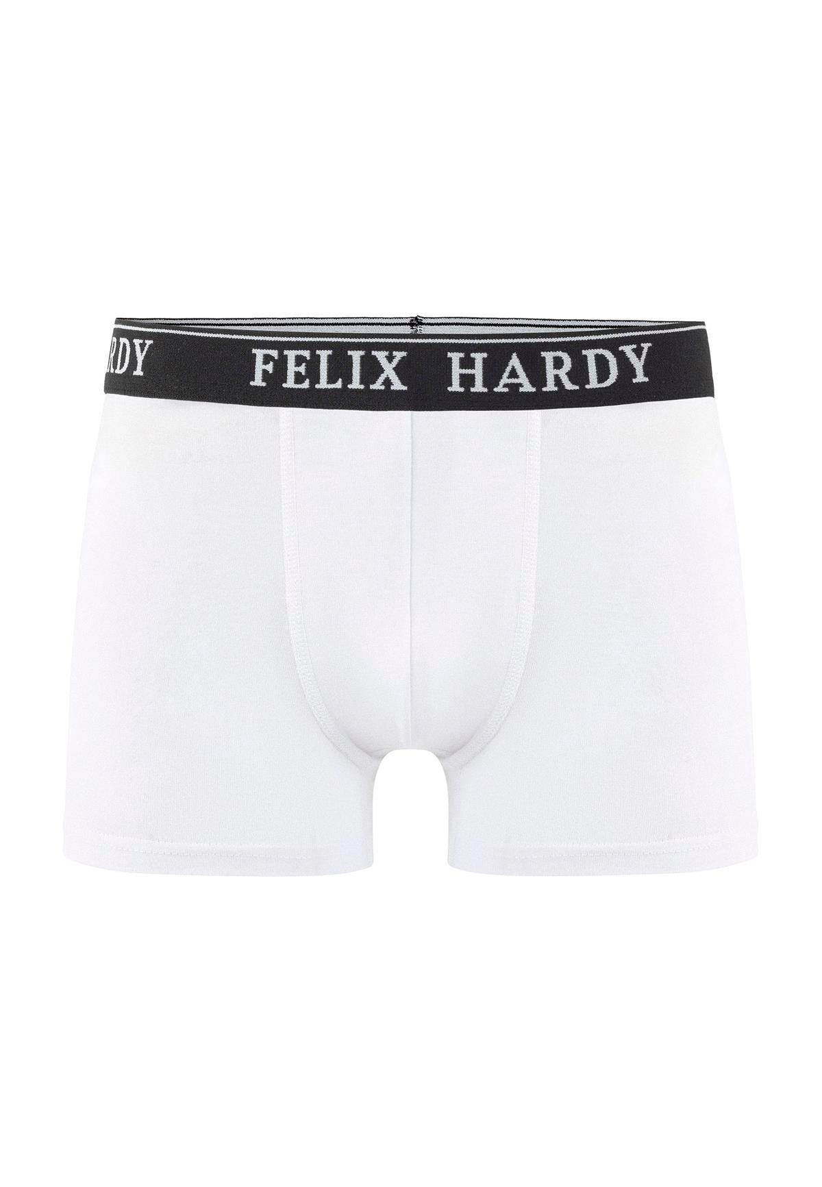 4'lü BoxerFelix HardyFHMBXR867-2