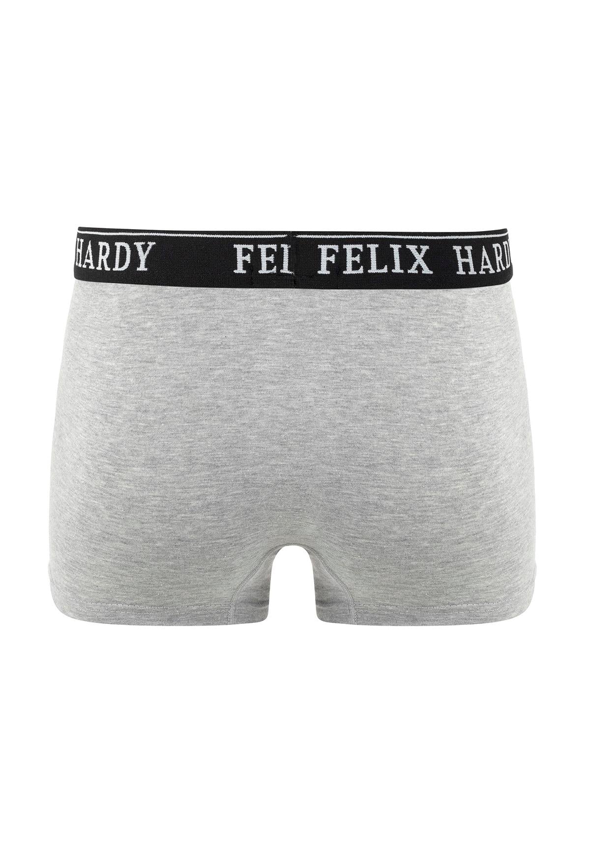 4'lü BoxerFelix HardyFHMBXR867-5