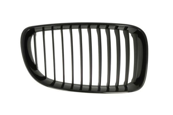 ÖN PANJUR SAĞ M PERFORMANCE E87/E87LCI